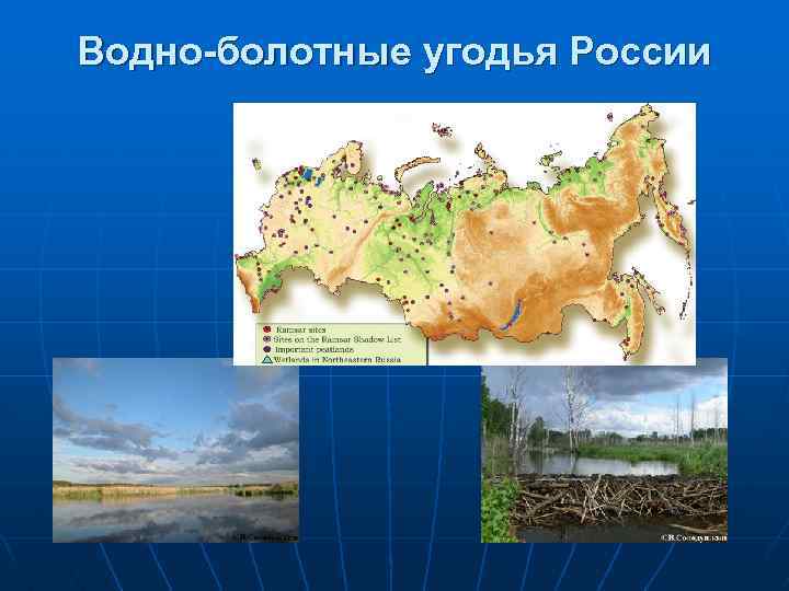 Водно-болотные угодья России 