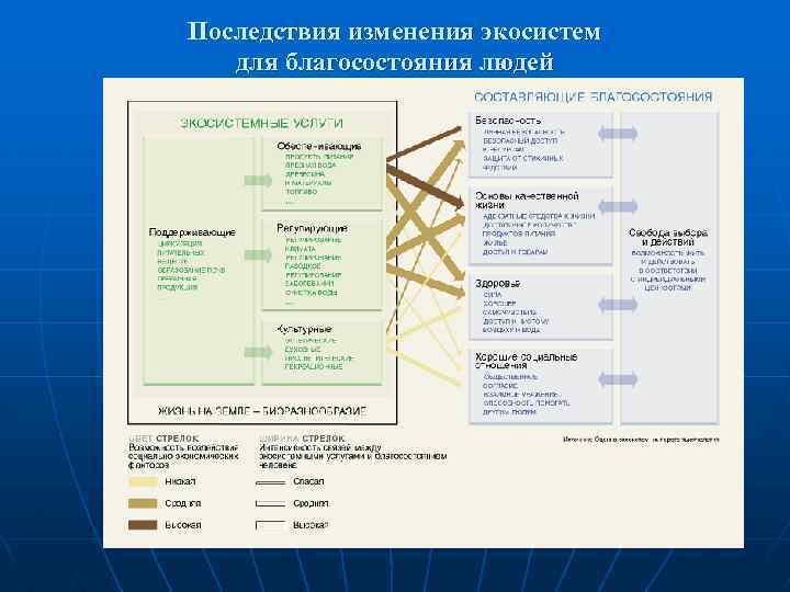 Последствия изменения экосистем для благосостояния людей 