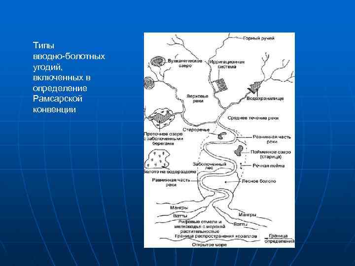 Типы вводно-болотных угодий, включенных в определение Рамсарской конвенции 