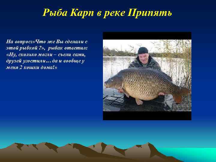 Рыба Карп в реке Припять На вопрос: » Что же Вы сделали с этой