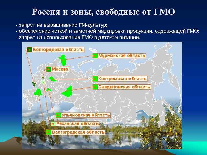 Россия и зоны, свободные от ГМО - запрет на выращивание ГМ-культур; - обеспечение четкой