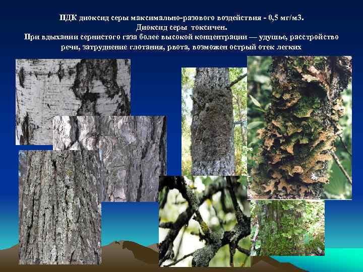 ПДК диоксид серы максимально-разового воздействия - 0, 5 мг/м 3. Диоксид серы токсичен. При