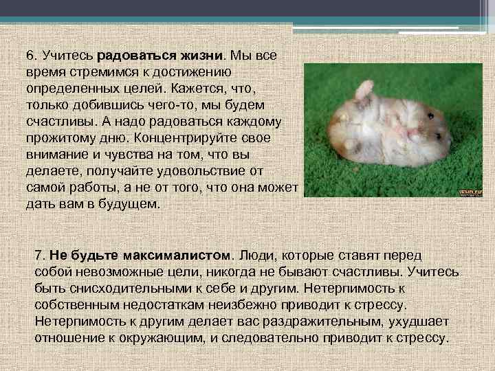 6. Учитесь радоваться жизни. Мы все время стремимся к достижению определенных целей. Кажется, что,