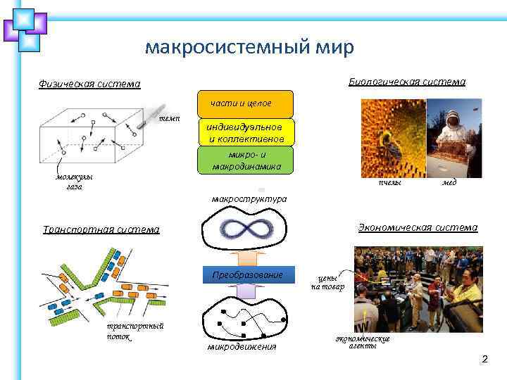 макросистемный мир Биологическая система Физическая система части и целое темп индивидуальное и коллективное микро-