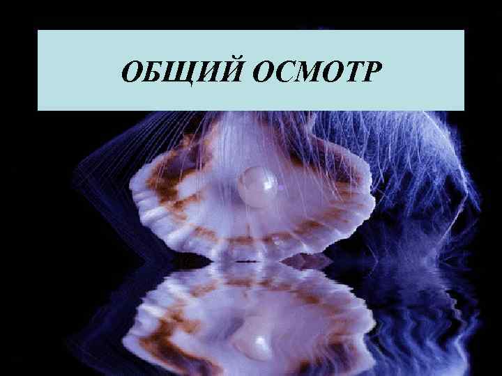 ОБЩИЙ ОСМОТР 