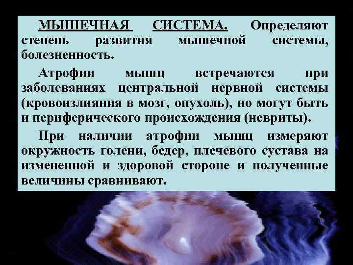 МЫШЕЧНАЯ СИСТЕМА. Определяют степень развития мышечной системы, болезненность. Атрофии мышц встречаются при заболеваниях центральной