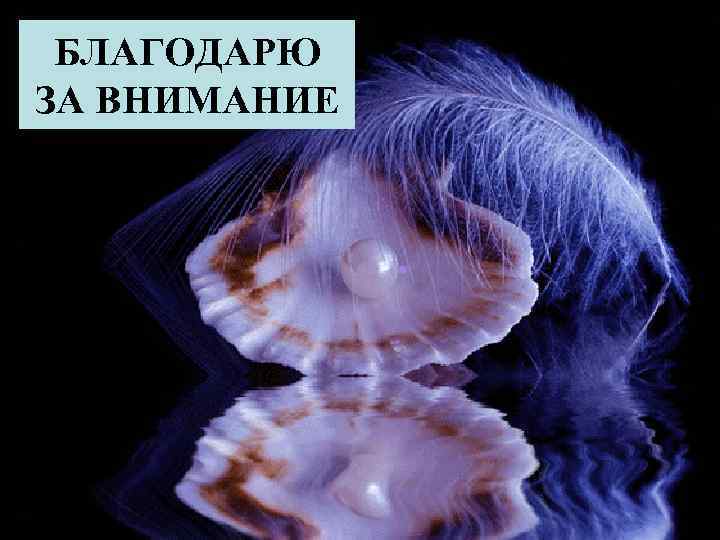 БЛАГОДАРЮ ЗА ВНИМАНИЕ 