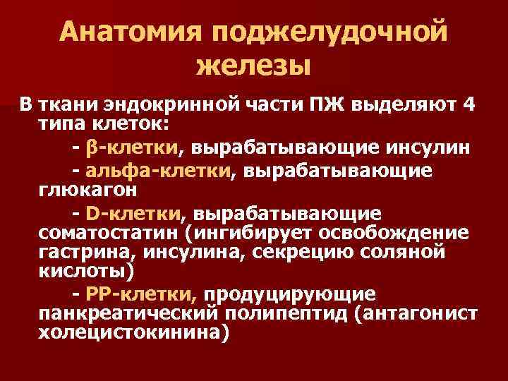 Анатомия поджелудочной железы В ткани эндокринной части ПЖ выделяют 4 типа клеток: - β-клетки,