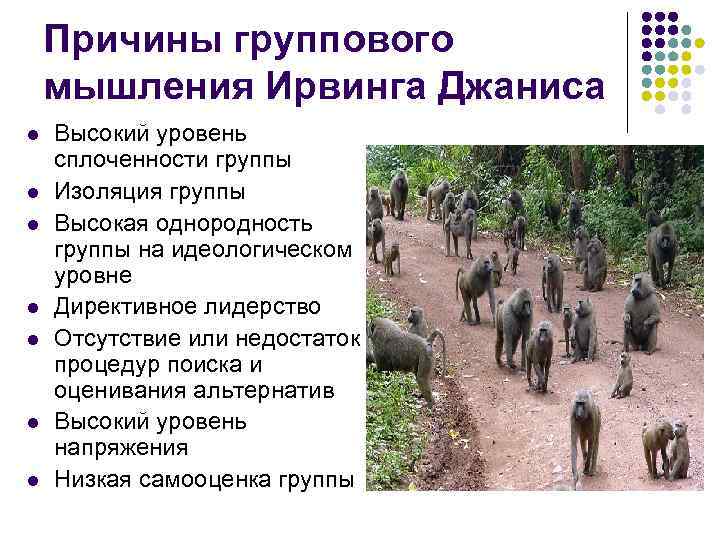 Причины группового мышления Ирвинга Джаниса l l l l Высокий уровень сплоченности группы Изоляция