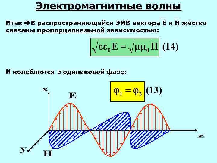 Электромагнитные волны Итак В распространяющейся ЭМВ вектора Е и Н жёстко связаны пропорциональной зависимостью: