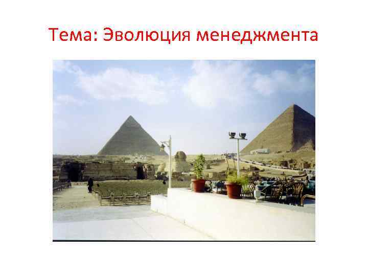 Тема: Эволюция менеджмента 