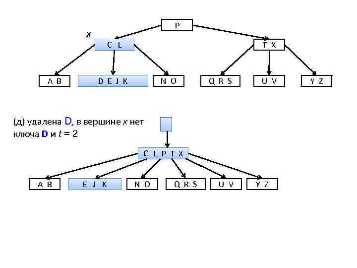 P х A B C L T X D E J K N O