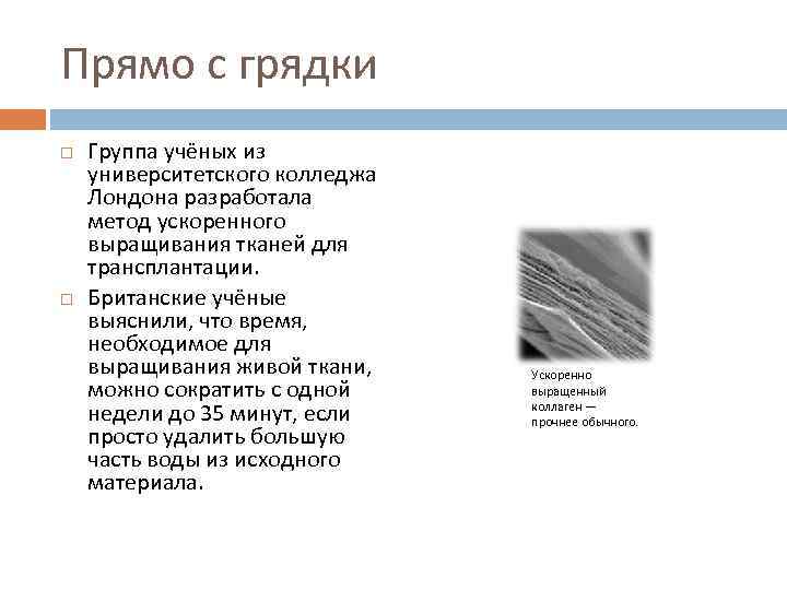 Проект на тему роль биологических исследований в современной медицине