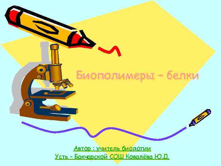 Биополимеры – белки Автор : учитель биологии Усть – Бакчарской СОШ Ковалёва Ю. Д.
