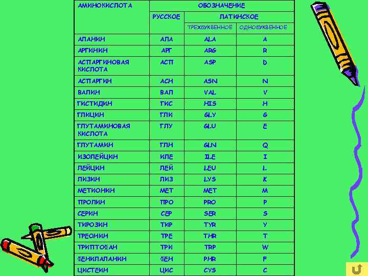 АМИНОКИСЛОТА ОБОЗНАЧЕНИЕ РУССКОЕ ЛАТИНСКОЕ ТРЕХБУКВЕННОЕ ОДНОБУКВЕННОЕ АЛАНИН АЛА ALA A АРГИНИН АРГ ARG R