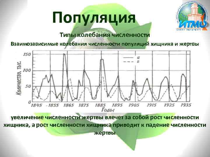 Популяция Типы колебания численности Взаимозависимые колебания численности популяций хищника и жертвы увеличение численности жертвы