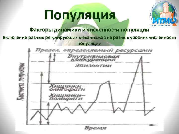 Популяция Факторы динамики и численности популяции Включение разных регулирующих механизмов на разных уровнях численности