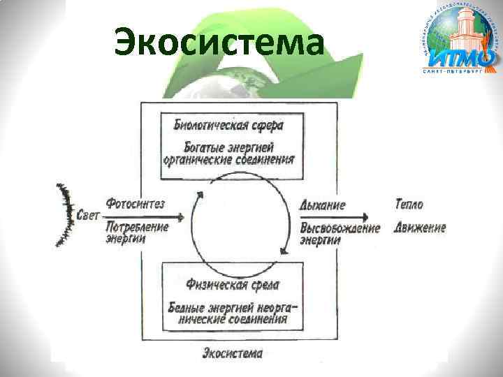 Экосистема 