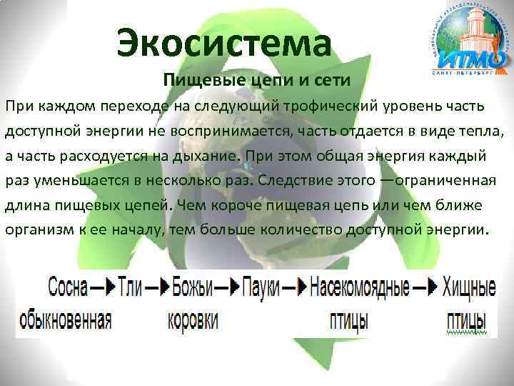 Экосистема Пищевые цепи и сети При каждом переходе на следующий трофический уровень часть доступной