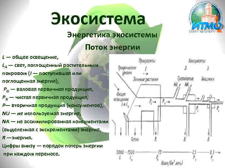 Экосистема Энергетика экосистемы Поток энергии L — общее освещение, LA — свет, поглощенный растительным