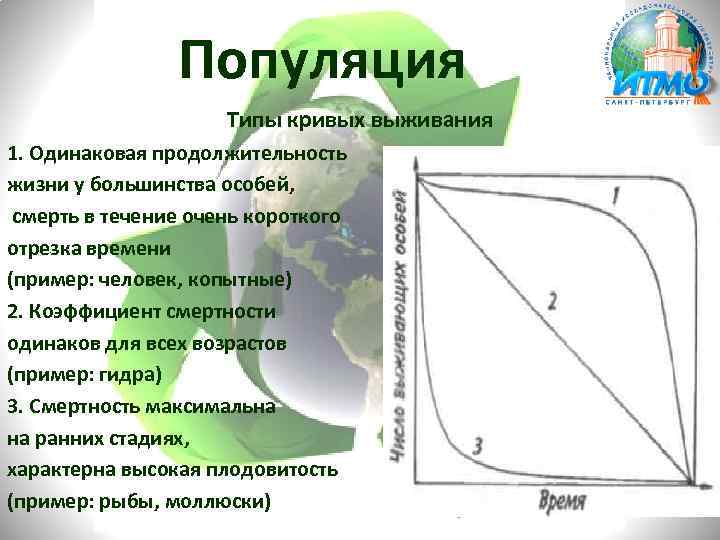 Типы кривых