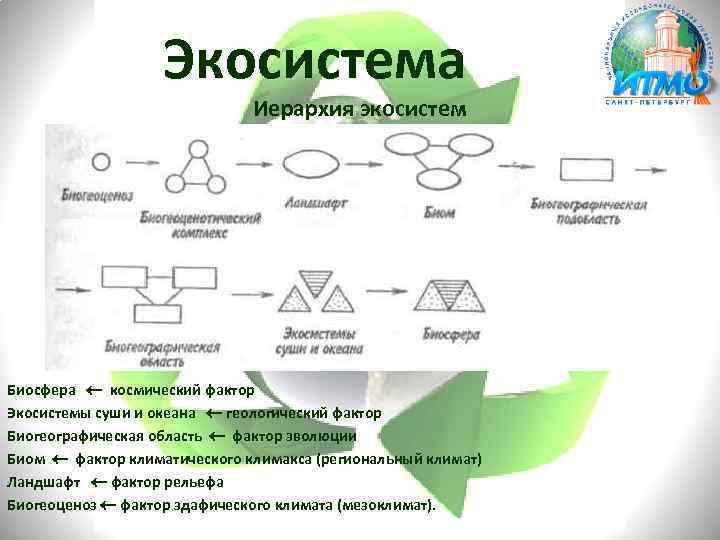 Экосистема Иерархия экосистем Биосфера космический фактор Экосистемы суши и океана геологический фактор Биогеографическая область