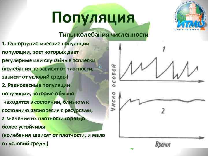 Популяция Типы колебания численности 1. Оппортунистические популяции, рост которых дает регулярные или случайные всплески