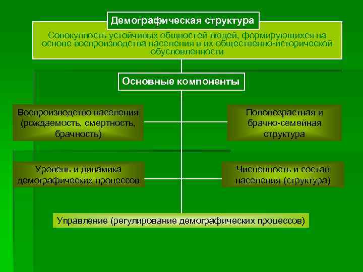 Демографическая структура Совокупность устойчивых общностей людей, формирующихся на основе воспроизводства населения в их общественно