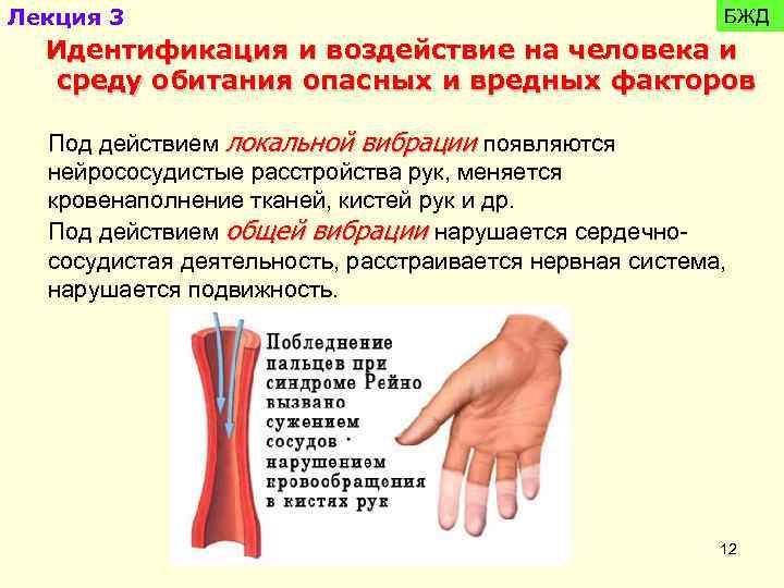 Лекция 3 БЖД Идентификация и воздействие на человека и среду обитания опасных и вредных