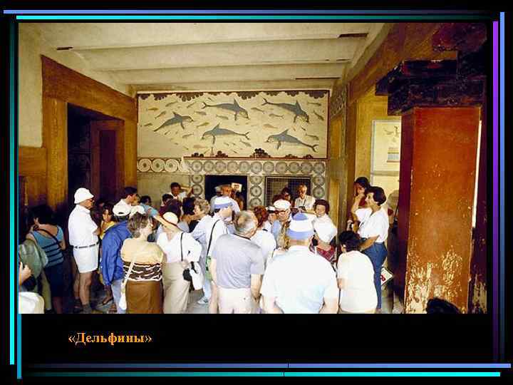  «Дельфины» 