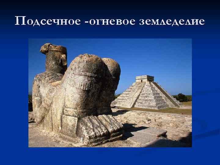 Подсечное -огневое земледелие 