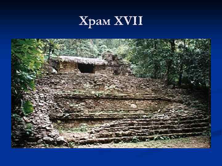 Храм XVII 