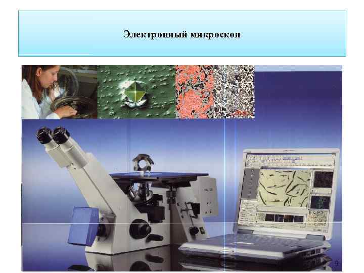 Электронный микроскоп 