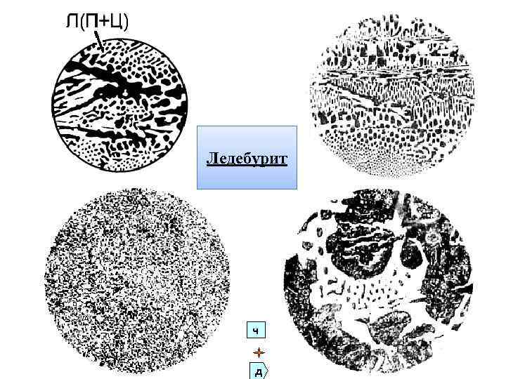 Ледебурит ч д 