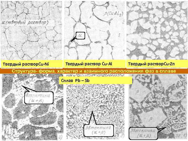 Твердый раствор Cu-Al Твердый раствор. Cu-Zn Твердый раствор. Cu-Ni Структура- форма, характер и взаимного