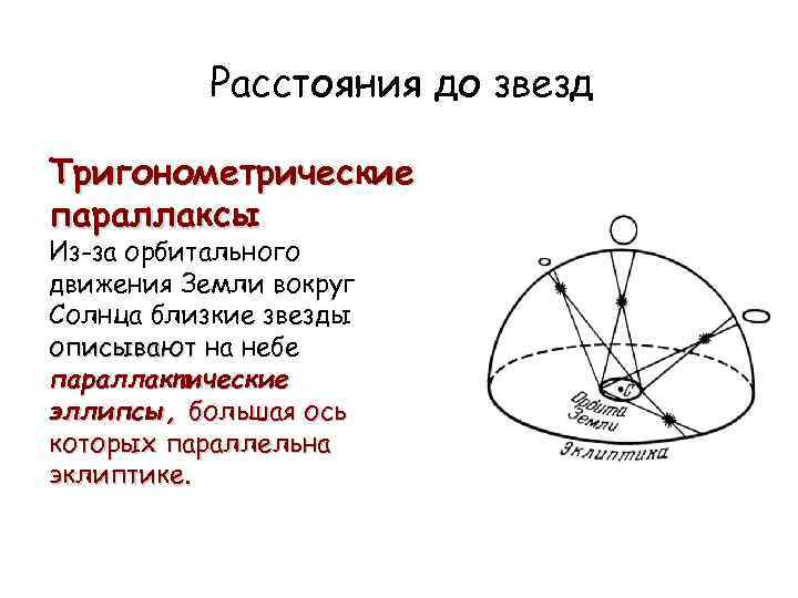 Расстояния до звезд Тригонометрические параллаксы Из-за орбитального движения Земли вокруг Солнца близкие звезды описывают