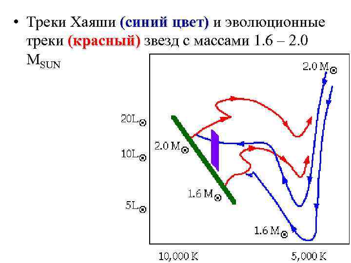  • Треки Хаяши (синий цвет) и эволюционные треки (красный) звезд с массами 1.