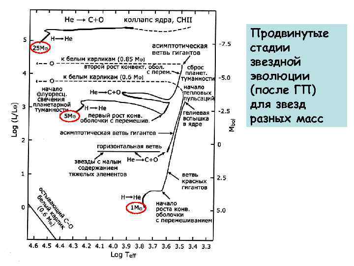 Продвинутые стадии звездной эволюции (после ГП) для звезд разных масс 