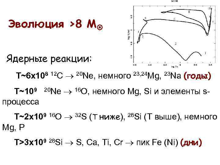 Эволюция >8 M Ядерные реакции: T~6 х108 12 C 20 Ne, немного 23, 24