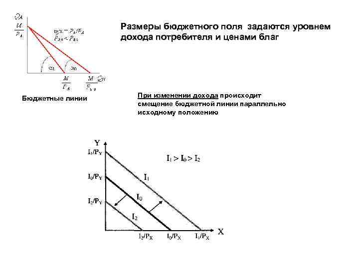 Размеры бюджетного поля задаются уровнем дохода потребителя и ценами благ Бюджетные линии При изменении