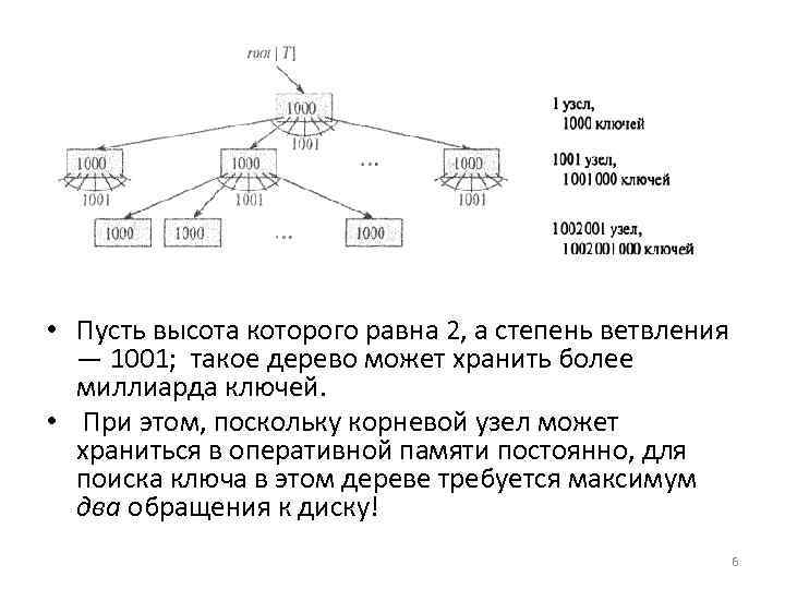  • Пусть высота которого равна 2, а степень ветвления — 1001; такое дерево
