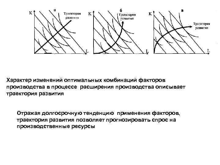 Характер изменений оптимальных комбинаций факторов производства в процессе расширения производства описывает траектория развития Отражая