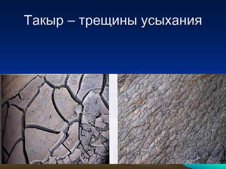 Такыр – трещины усыхания 