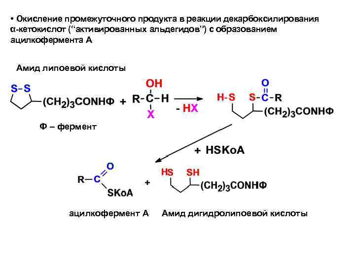  • Окисление промежуточного продукта в реакции декарбоксилирования α-кетокислот (“активированных альдегидов”) с образованием ацилкофермента