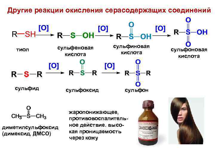 Другие реакции окисления серасодержащих соединений тиол сульфеновая кислота сульфид диметилсульфоксид (димексид, ДМСО) сульфоксид сульфиновая