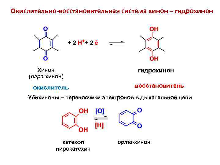 Окислительно-восстановительная система хинон – гидрохинон Хинон (пара-хинон) окислитель гидрохинон восстановитель Убихиноны – переносчики электронов