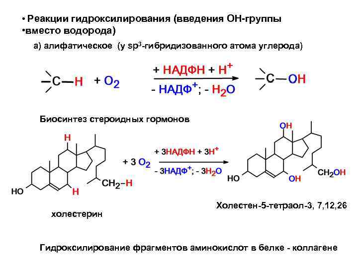  • Реакции гидроксилирования (введения ОН-группы • вместо водорода) а) алифатическое (у sp 3