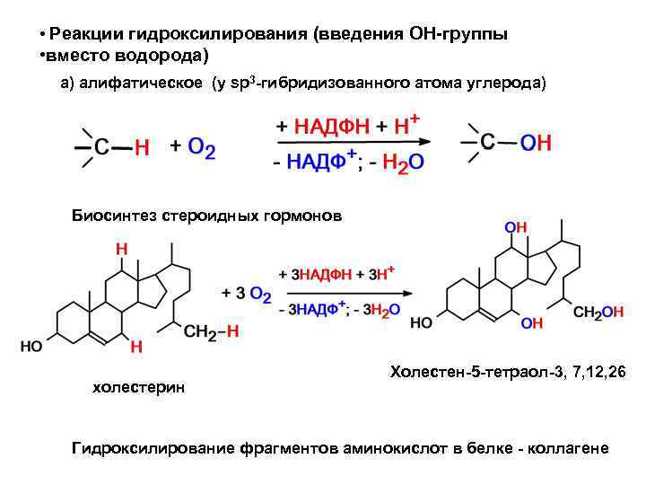 Реакция на белок что значит