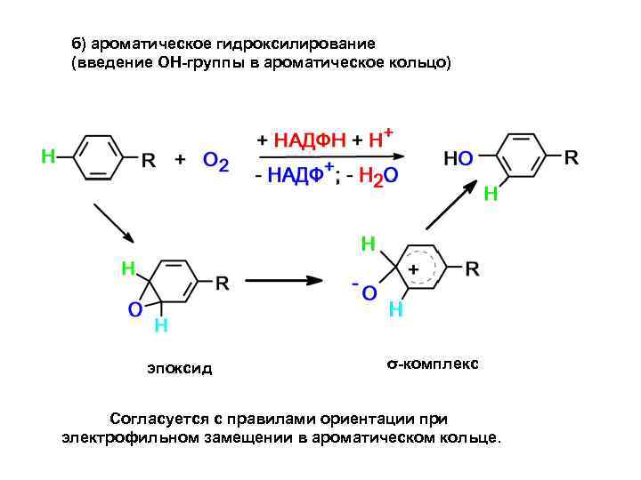 б) ароматическое гидроксилирование (введение ОН-группы в ароматическое кольцо) эпоксид σ-комплекс Согласуется с правилами ориентации