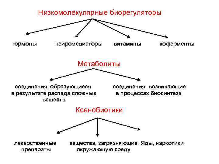 Низкомолекулярные биорегуляторы гормоны нейромедиаторы витамины коферменты Метаболиты соединения, образующиеся в результате распада сложных веществ